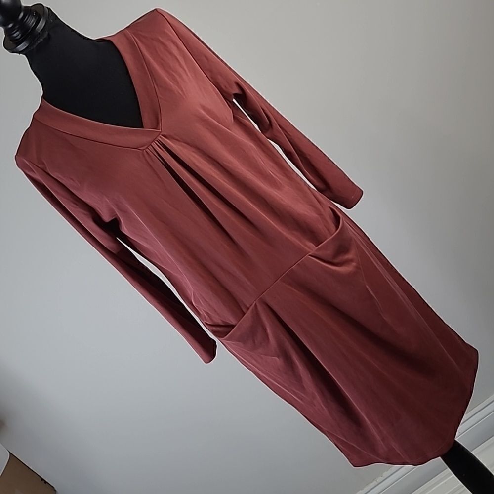 reneeC. Sz M dress